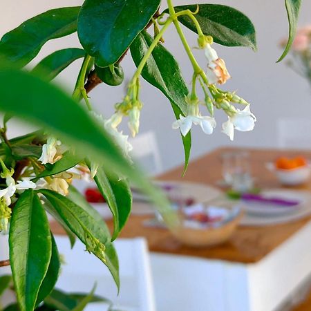 Corte Mercurio B&B Ugento Eksteriør bilde